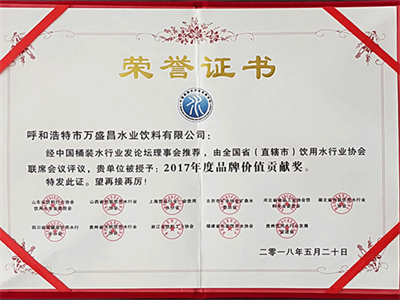 2018年520大会品牌价值贡献
